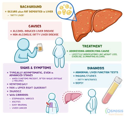 liver care near roseville|Best Liver disease due to fat accumulation Doctors in Roseville, .
